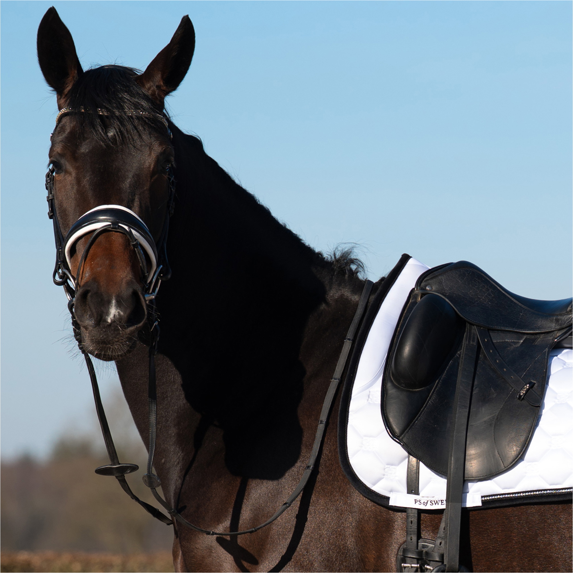 2025 PS of Sweden Vintage Monogram Dressage Saddle Pad 1110-120-090 - White / Black